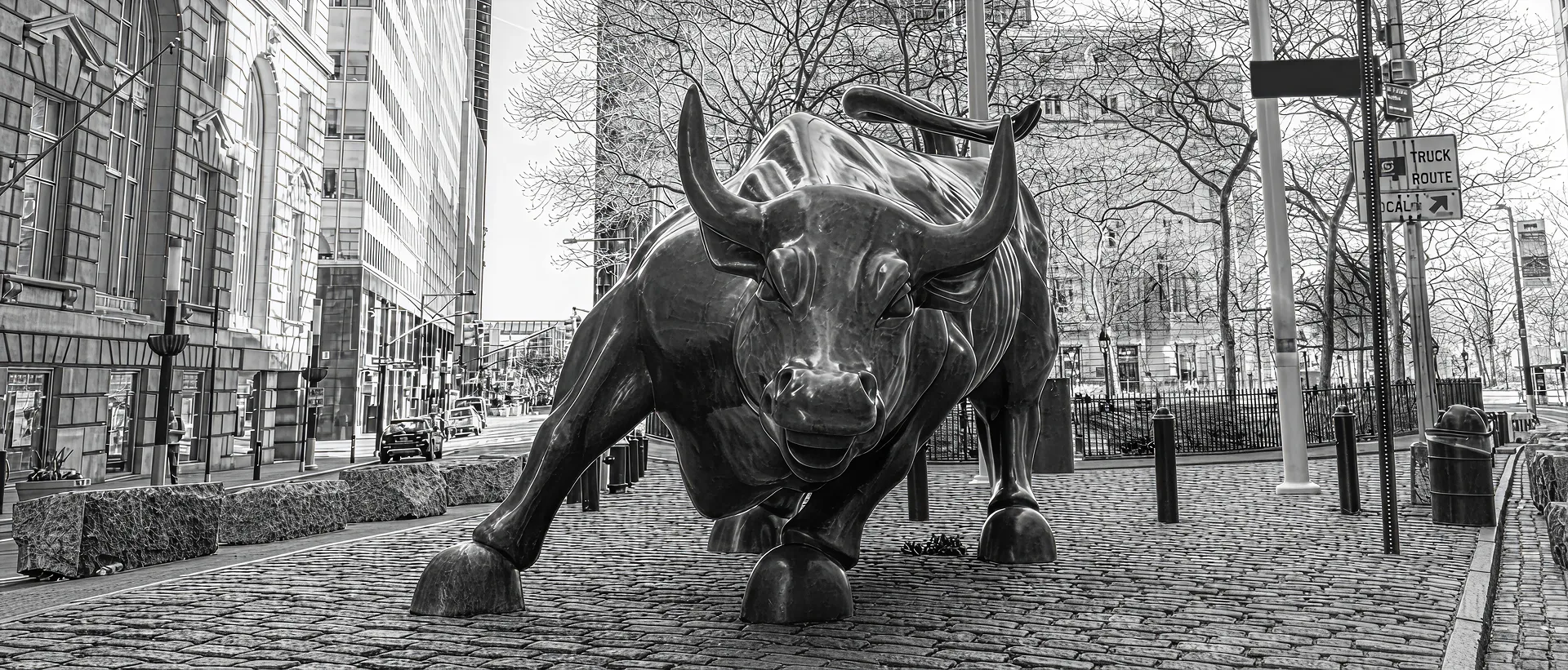 A Victim's Guide to Ponzi Schemes Attorneys